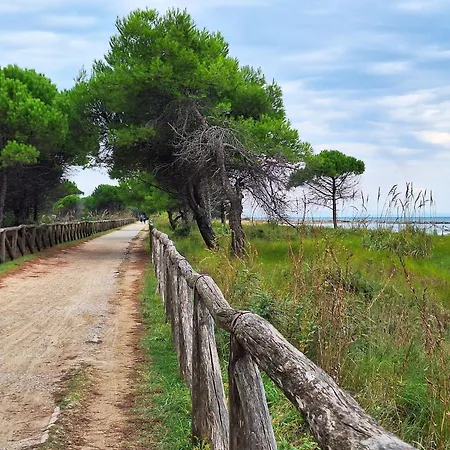 Comfortable With Terrace In * Bibione